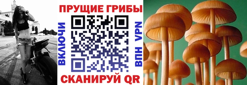 наркошоп  Суоярви  Галлюциногенные грибы мицелий 